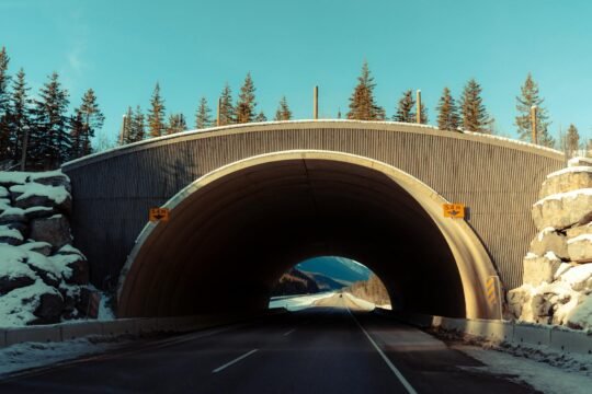 What Are People from Spain Called? Unveiling the Names and Identities